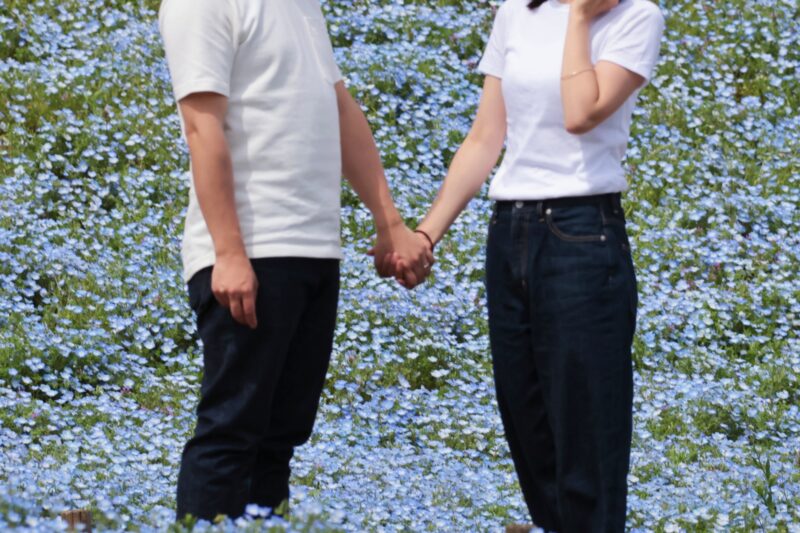 この先どうしよう…